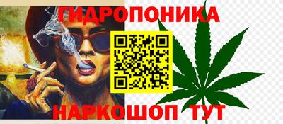 ALPHA-PVP Партизанск