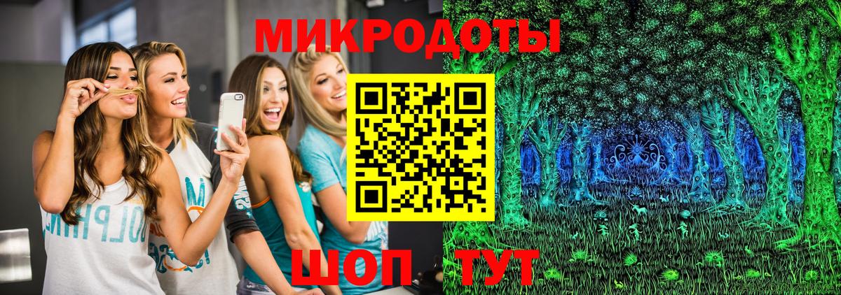 Псилоцибиновые грибы Cubensis Реутов